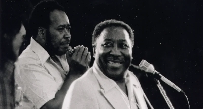 muddy waters