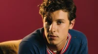 shawn mendes