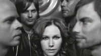 the cardigans