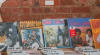 vinyl